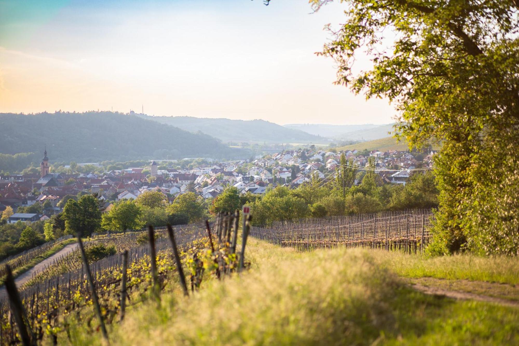 אייבלשטאדט Weingut Leininger Ferienwohnungen מראה חיצוני תמונה